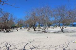 White Sand Beach Island For Sale in San Jose Occidental Mindoro